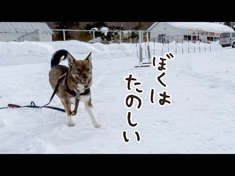 Going to Mount Charlie (with lots of friends!)