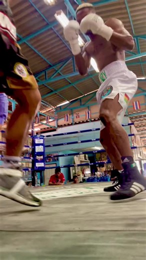 Knockout Moments: Lights Out in Boxing