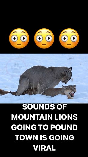 Hoodz Nd Newz Media on Instagram: "樂樂"