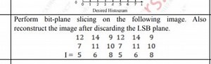 \multirow{4{*}{Perform bit-plane slicing on the following image... | Filo