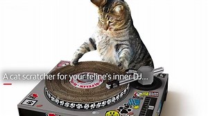 21K views · 49 reactions | Some of the more unusual products you will find on Amazon... | PerthNow | Facebook