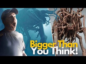 Behemoth Mythology | What is its ORIGIN? The Mist by Stephen King