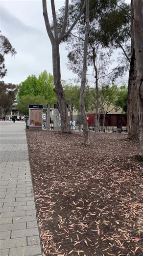 Laundry Tips for Busy College Students at UCSD