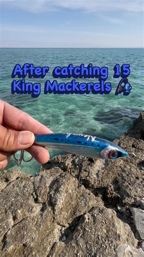 newsh-handcrafted lures for saltwater fishing on Instagram: "After catching 15 King Mackerels 🎣 The lure is still solid, with only minor scratches on the epoxy clear coat. 7–9 epoxy clear coats make every Newsh lure strong and durable. Built to last. #NewshLures #KingMackerel #SaltwaterFishing #HandmadeLures #BuiltToLast"