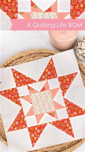 September A Quilting Life BOM ✨ Flying Geese & Another Block Complete! 💗