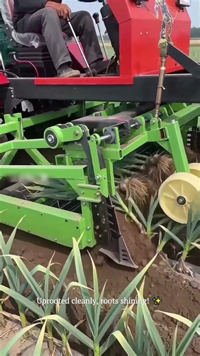 This Automatic Garlic Harvester Sweeps the Field Like a Comb! #farming #harvest #garlic