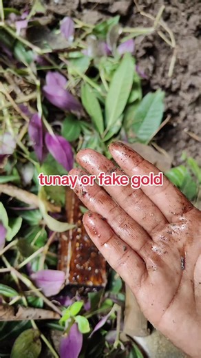 Understanding Real vs Fake Gold: A Gold Hunter's Guide