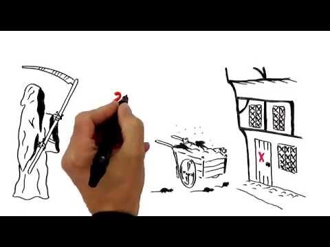 What is Vector Control?