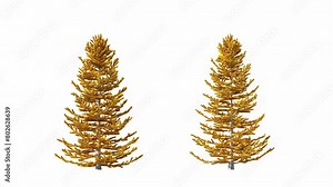 Trees grow from small to large. Growing tree on transparent alpha background. 3D realistic fall tree season. Wind blowing leaves moving.