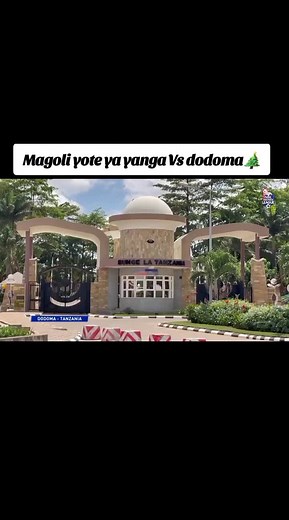 #yanga #simba #africa #fypp #tanzaniatiktok #merrychristmas #Yangafamilyfans💛💚 #viraltiktok #premierleague #foryoupage❤️❤️