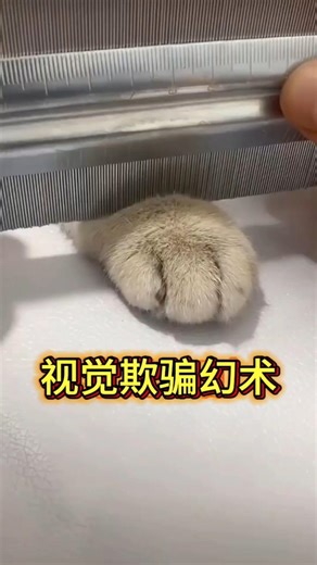 Visual Deception Illusion #Magic Tutorial视觉欺骗幻术#魔术教学