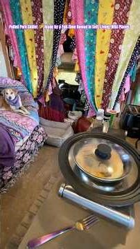 RV Pulled Pork & Black Bean Skillet 🌮 Full-Time Nomad Cooking Adventure #nomadnikki #nikkiyeomans