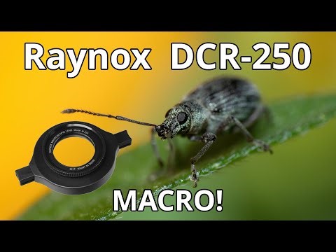 Raynox DCR-250 Macro Photography OM SYSTEM OM-1 Mark II 40-150 Lens!
