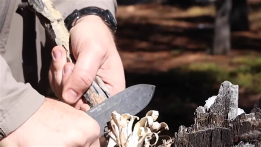 今日分享 ESEE-PR4 丛林小直刀