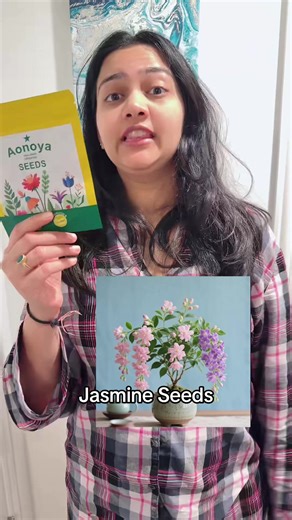 Trailing Jasmine Seeds for Beautiful Home Gardens
