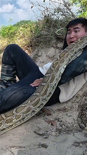 Giant Monster | The boy was terrified when he was suddenly attacked by a golden python.
