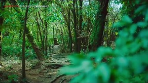 ENGSUB - The Poet and The Boy - Korean BL
