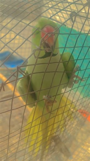 🙏🏻🙏🏻🙏🏻🙏🏼🙏🏼🙏🏼🙏🏼🙏🏼🙏🏻🙏🏻🙏🏼🙏🏼