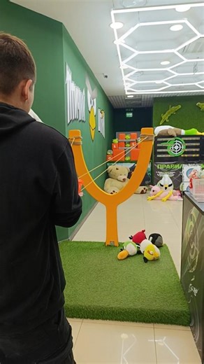 🐦‍⬛ Real-life Angry Birds in Russia 🇷🇺 Playing real angry birds with huge birds and pigs #angrybirds