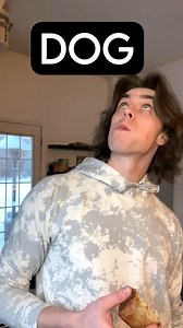 289K views · 17K reactions | How Humans Domesticated Dogs #funnydog #petcare #comedymemes #doglovers #doglife #dogoftheday #pets #dogcomedy #doggie #petlovers #ilovedogs #dogslife #doggo | Jonny Devaney | Facebook