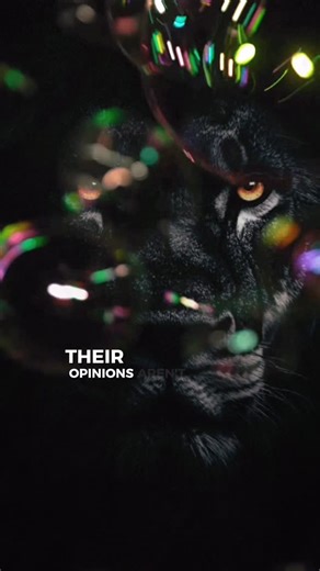 MindSet Warrior on Instagram: "True Life Quotes #mindset #lifequotes #mindsetquotes #quotes #motivation #motivational #inspiration #quote #inspirational #growth #growthmindset #mentalhealth #life #mentalhealthawareness"