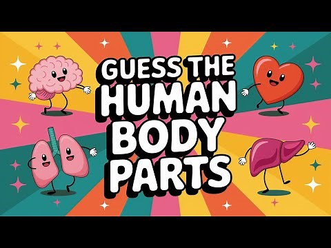 Guess The Human body Parts ! 🧠 Can You Get Them All? | Chillipop Anatomy Quiz
