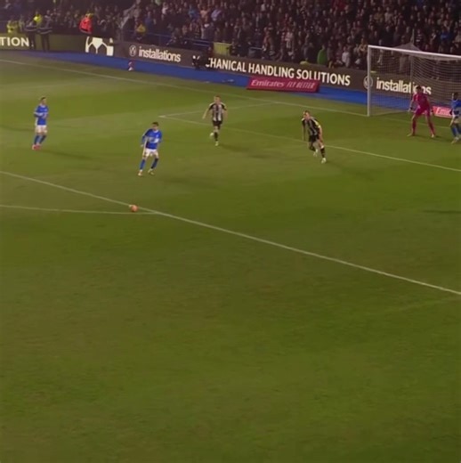 Japanese Championship Highlights: BCFC Excitement