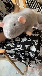 3K views · 28 reactions | Rock that body!!! #plush #plushies #plushiesofinstagram #plushie #cute | Kawaiies Collection | Facebook