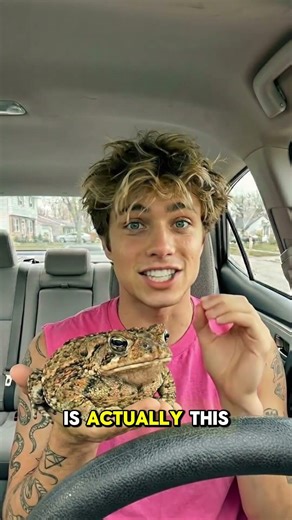 4K wallpapers for you phone