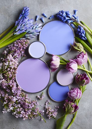 How Long Does It Take for Paint to Dry for A Perfect Finish?