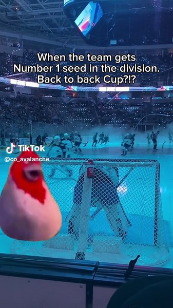 LETS GO AVS!!! #goavsgo #coloradoavalanche #icehockey #stanleycup #5280 #colorado #foryoupage #playoffclinched #nhl #playoffs #denver