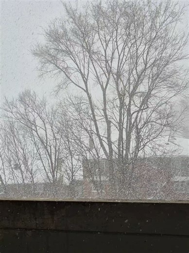 Ethiopians in Toronto Experience Winter Snow Storm