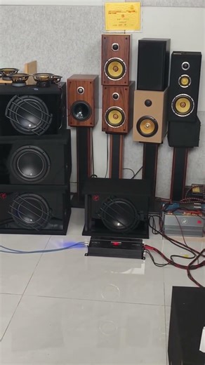 Custom home audio, Phoenix 12in+6.5in