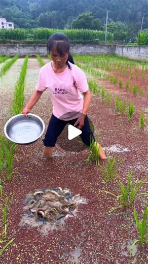 fishcampvietnam | An 8-door eel, shrimp, crab, and fish trap is a type of fishing tool, usually made of plastic or metal, with an 8-door design to attract... | Instagram