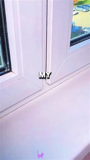 why did a tampon get me expelled I was 17#ask #askreddit #learnontiktok #reddit #story