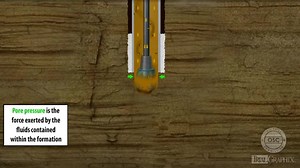 4.7K views · 134 reactions | Wells Kick...