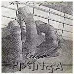 Celso Pixinga - Mister Funk