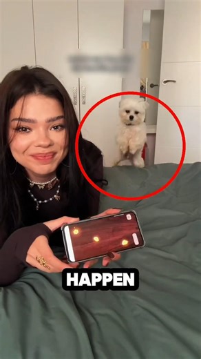 Don’t Let Your Dog Hear This Sound UNLESS You Want This! 🐶🎮