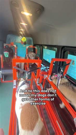 Do you think running my dogs on treadmills is cruel??? 🐶🐾 @RunBuddy Mobile- TX #RunBuddy #austintexas #atx #mobiledoggym #exerciseyourdog