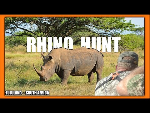 Rhino Hunt - Zululand KZN