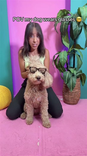 He’s such a smart dog 🤓