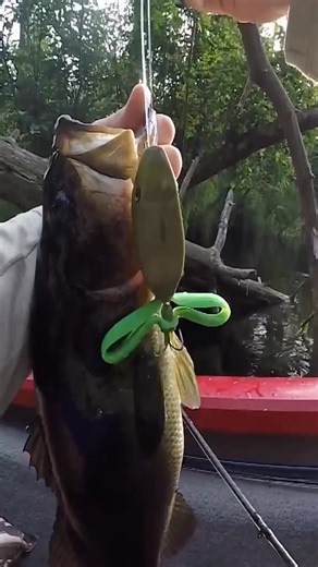 🎣 Stop missing surface strikes. Our lifelike topwater frog moves like the real thing — bass can’t resist. | Artisanadventure-shop