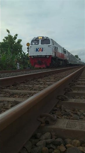 Kereta api putih menuju arah Jogjakarta#keretaapi