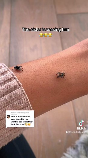 Boxer's Inappropriate Dance Moves with Topaz | Entertaining Spoods Behavior