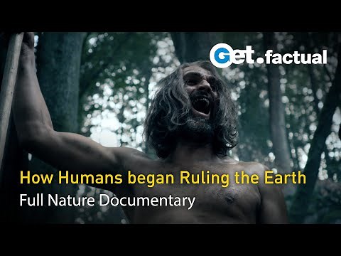 300 Million Years in Europe | Full Nature Documentary - Part 2