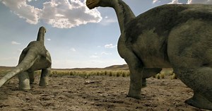 Jurassic Fight Club: T-Rex in the City - TV SPIELFILM