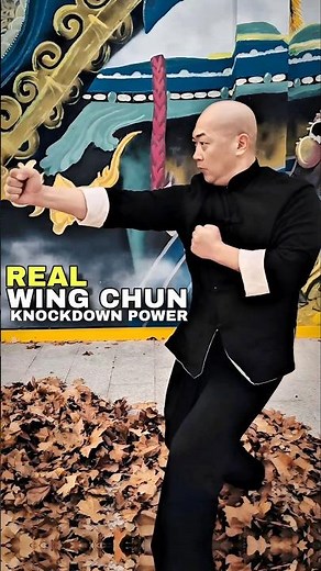 WING CHUN Master - Real Punches & Kicks That Knock Down Opponents #martialarts