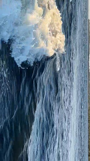 Beautiful day to Cabbage Key | Calm Water Charters