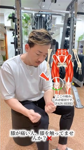 【膝痛】膝を触っても治らない本当の理由｜銀座の筋膜専門家が解説