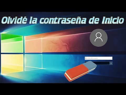 Restablecer CONTRASEÑA Olvidada en WINDOWS 10 WINDOWS 11 | Inicia sesión sin perder Datos
